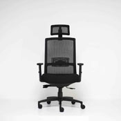 Boss Mesh Chair, w/ Headrest and Memory Foam Seat, B6035-HR