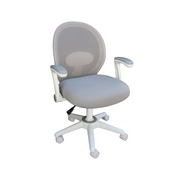 Boss Grey Mesh, Flip Arm, Task Chair, White Frame, B676WT-GY