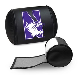 Display Pillow with Northwestern Wildcats Logo, XZPILLOW-PSCOL13355