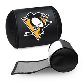 Display Pillow with Pittsburgh Penguins Primary Logo, XZPILLOW-PSNHL42030