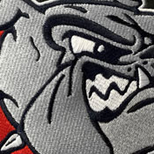 Gonzaga Bulldogs Logo Panel, AGS-PSCOL13330