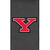 Youngstown State Logo Panel, AGS-PSCOL13455