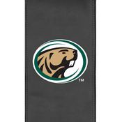 Bemidji State University Logo Panel, AGS-PSCOL13870