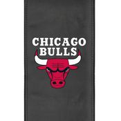 Chicago Bulls Logo Panel