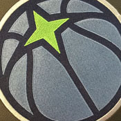 Minnesota Timberwolves Logo Panel, AGS-PSNBA31061