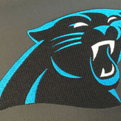 Carolina Panthers Logo Panel, AGS-PSNFL20020