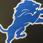 Detroit Lions Logo Panel, AGS-PSNFL20050