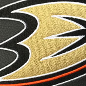 Anaheim Ducks Logo Panel, AGS-PSNHL40000