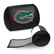 Display Pillow with Florida Gators, AGS-XZPILLOW-PSCOL11020