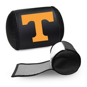 Display Pillow with Tennessee, AGS-XZPILLOW-PSCOL11030