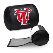 Display Pillow with University of Tampa, AGS-XZPILLOW-PSCOL13688