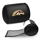 Display Pillow with Western Michigan, AGS-XZPILLOW-PSCOL13706