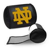 Display Pillow with Notre Dame, AGS-XZPILLOW-PSCOL13820