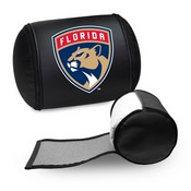 Display Pillow with Florida Panthers, AGS-XZPILLOW-PSNHL41021