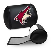 Display Pillow with Arizona Coyotes, AGS-XZPILLOW-PSNHL42020