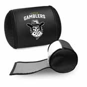 Display Pillow with Austin Gamblers Primary Logo, XZPILLOW-PSPBR0015