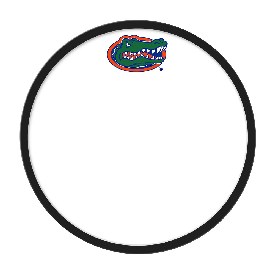 Florida Gators: Modern Disc Dry Erase Wall Sign, NCFLGT-612-01