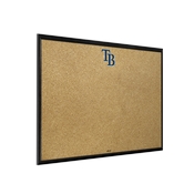 Tampa Bay Rays: Framed Corkboard, AGS-MBTBAY-643-01A