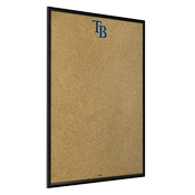 Tampa Bay Rays: Framed Corkboard, AGS-MBTBAY-643-01A