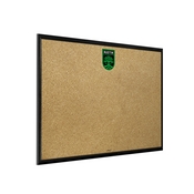 Austin F.C.: Framed Cork Board Wall Sign, FNB-MSAUST-643-01A