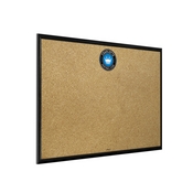 Charlotte FC: Framed Cork Board Wall Sign, FNB-MSCHAR-643-01A