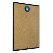 Charlotte FC: Framed Cork Board Wall Sign, FNB-MSCHAR-643-01A