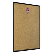 Colorado Rapids: Framed Cork Board Wall Sign, FNB-MSCOLO-643-01A
