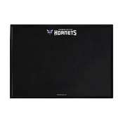 Charlotte Hornets: Framed Chalkboard, FNB-NBCHAR-623-01A