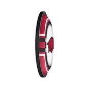 Arkansas Razorbacks: Oval Slimline Lighted Wall Sign, FNB-NCARKR-140-01A
