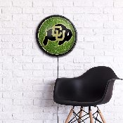 Colorado Buffaloes: On the 50 - Slimline Lighted Wall Sign, NCCOBF-130-22