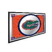 Florida Gators: Team Spirit - Framed Mirrored Wall Sign, FNB-NCFLGT-265-02A