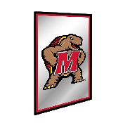 Maryland Terrapins: Mascot - Framed Mirrored Wall Sign, FNB-NCMRYT-275-01A
