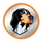 Tennessee Volunteers: Mascot - Modern Disc Mirrored Wall Sign, NCTENN-235-02