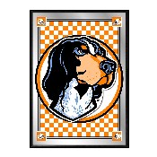 Tennessee Volunteers: Team Spirit, Mascot - Framed Mirrored Wall Sign, FNB-NCTENN-275-02A