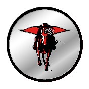 Texas Tech Red Raiders: Mascot - Modern Disc Mirrored Wall Sign, NCTTRR-235-02