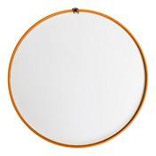 Anaheim Ducks: Secondary Logo - Modern Disc Mirrored Wall Sign, FNB-NHANAH-235-02A