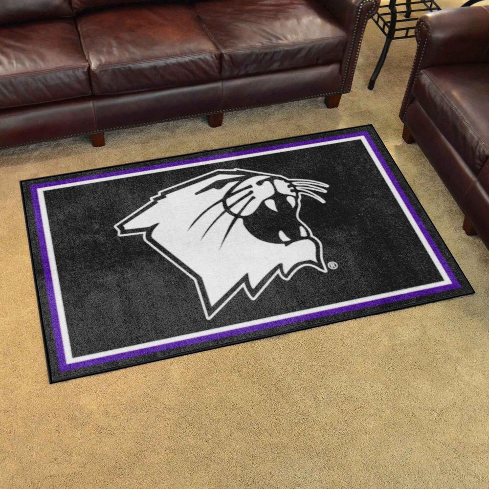 Northwestern Wildcats 4ft. x 6ft. Plush Area Rug - N Primary Logo, 36417