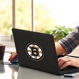 Boston Bruins Matte Decal Sticker, 30773