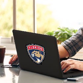 Florida Panthers Matte Decal Sticker, 30800