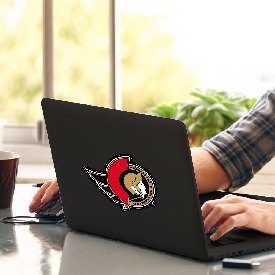 Ottawa Senators Matte Decal Sticker, 30821