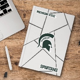 Michigan State University Decal 3-pk 5 x 6.25 - 3 Various Logos / Wordmark, 61038