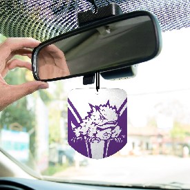 TCU Horned Frogs 2 Pack Air Freshener, 61636