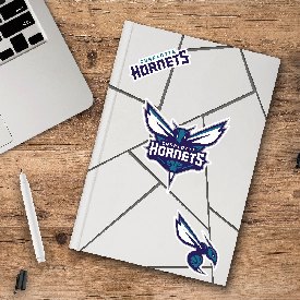 Charlotte Hornets 3 Piece Decal Sticker Set, 63293
