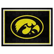 Iowa 8'x10' Rug, 17554