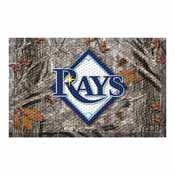 Tampa Bay Devil Rays Scraper Mat 19"x30", 19056-GR