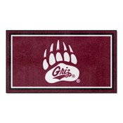 University of Montana 3' x 5' Rug, 19779