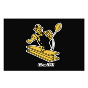 Pittsburgh Steelers Vintage Starter Mat, 32510