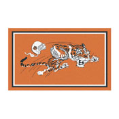 Cincinnati Bengals 3ft. x 5ft. Plush Area Rug, NFL Vintage, 32577