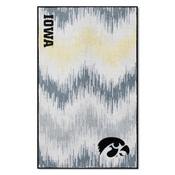 Iowa Hawkeyes 4ft. x 6ft. Plush Area Rug - Tigerhawk Head Primary Logo, 38160