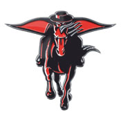 Texas Tech Red Raiders Heavy Duty Aluminum Embossed Color Emblem - Alternate, 60661